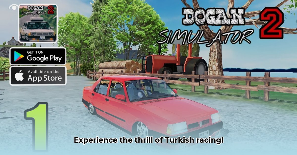 dogan-simulator-2